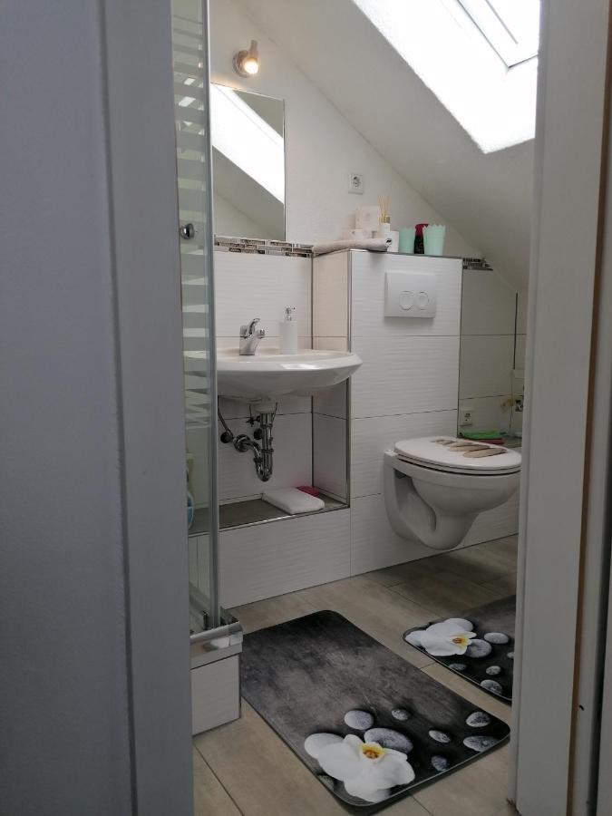 Apartment An Der Schweizer Grenze Laufenburg Extérieur photo